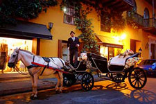 Horse Carriage for Weddings