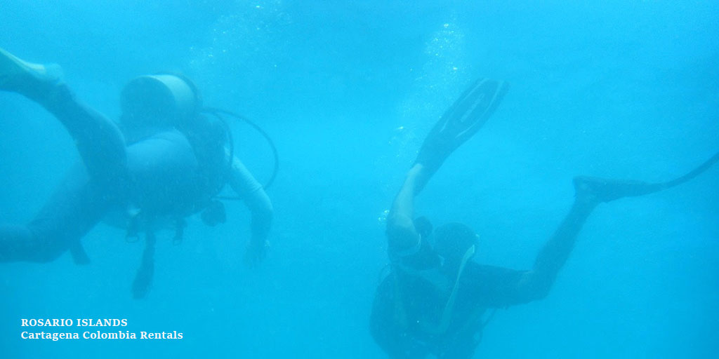 Diving in the Rosario Islands