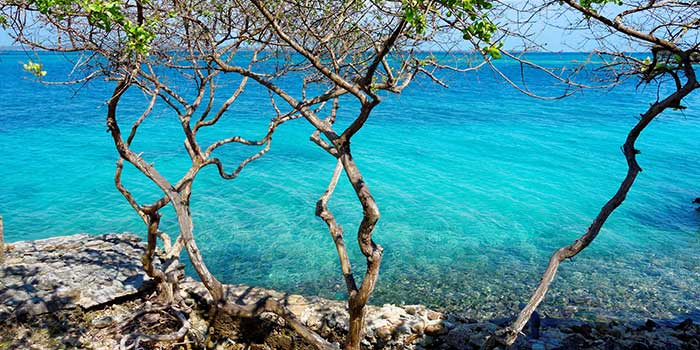 Rosario Islands