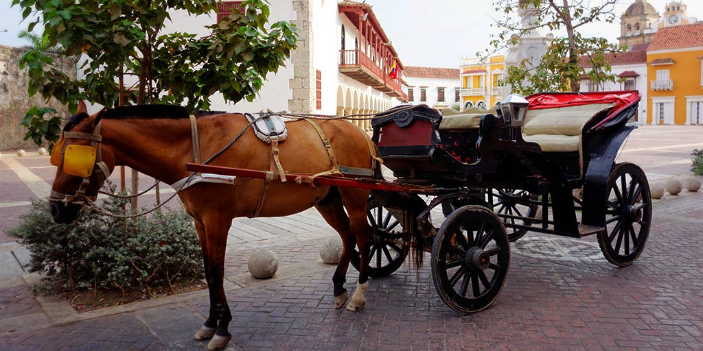 Horse and Carriage