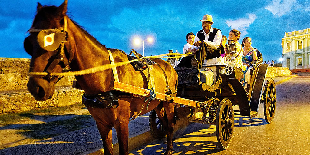 Horse Drawn Carriage Cartagena