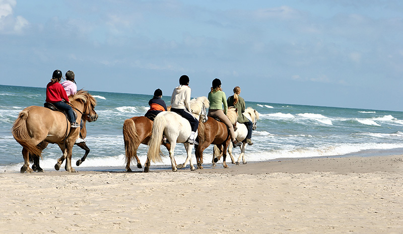 Horse Riding in Cartagena