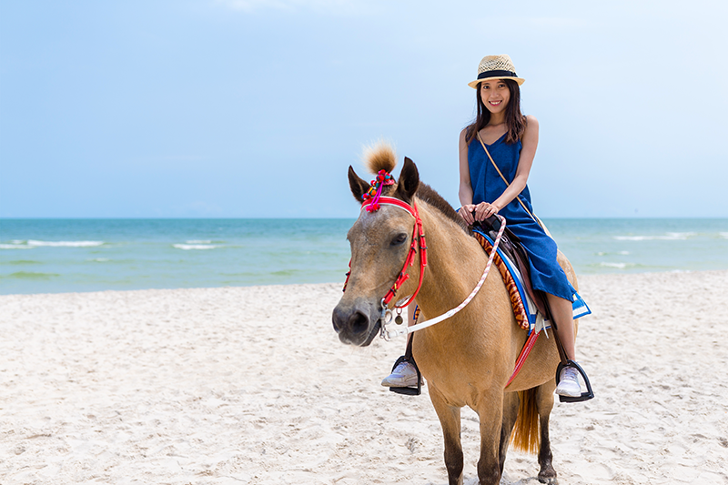 Horse Riding on the Beaches of Cartagena